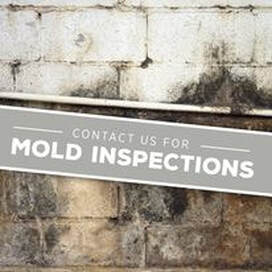 Mold Inspection Photo
